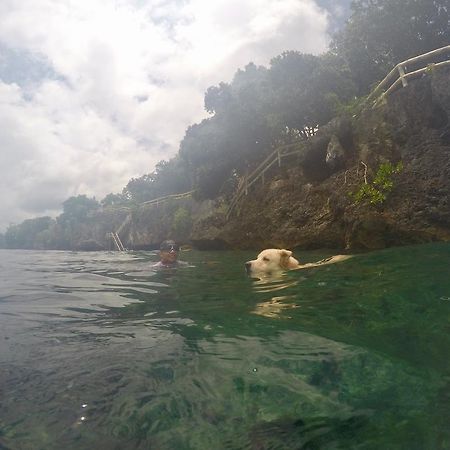 Alexis Cliff Dive Resort パングラオ エクステリア 写真